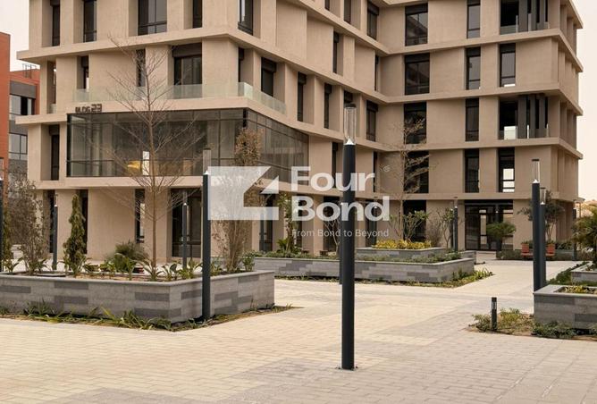 101494653 - Property Image 2