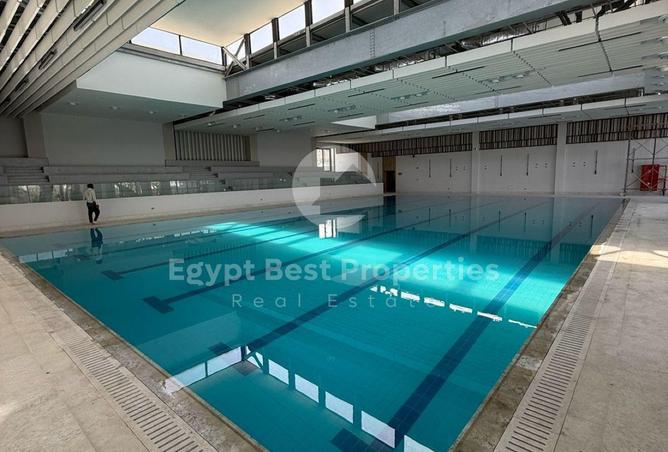 74595426 - Property Image 3