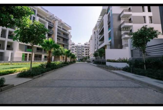 103473095 - Property Image 2