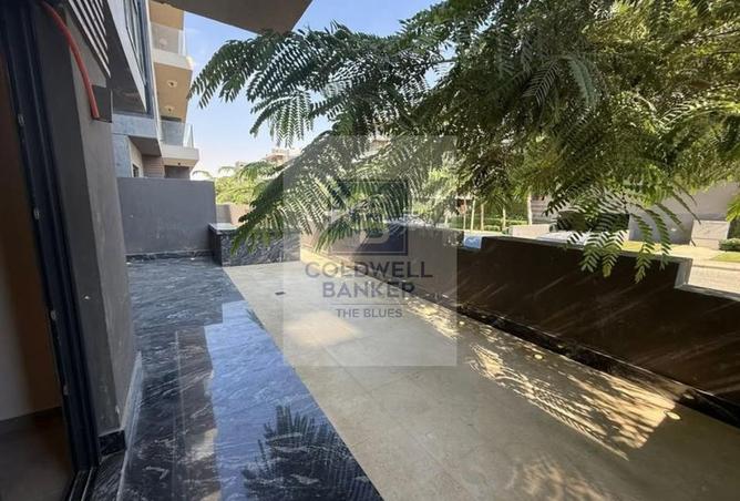 64641250 - Property Image 3