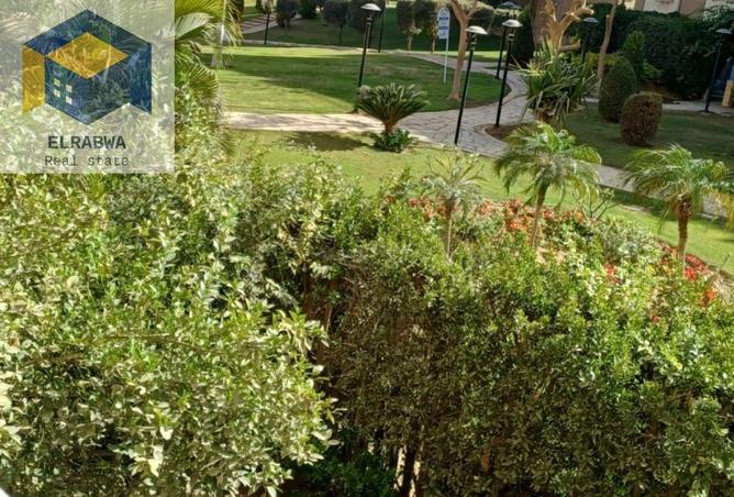 56263188 - Property Image 3