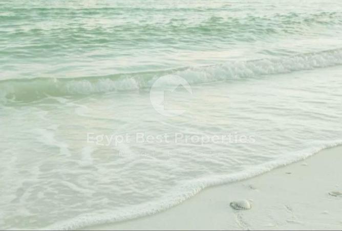 89249790 - صورة العقار 3