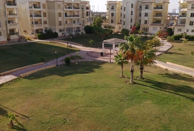 72176828 - صورة العقار 2