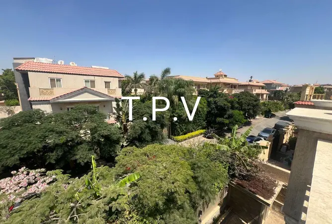 114345936 - Property Image 3