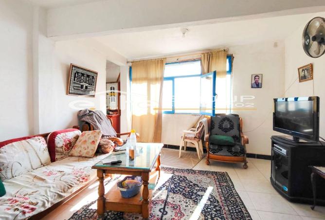 66431429 - Property Image 3