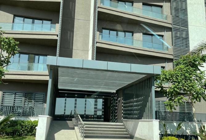 55250464 - Property Image 3