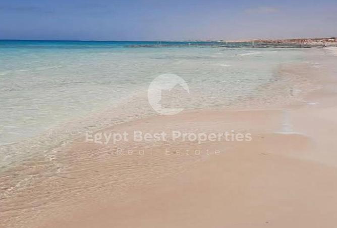 77335827 - صورة العقار 2