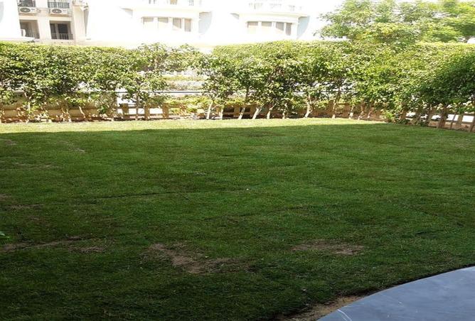 8442530 - صورة العقار 3