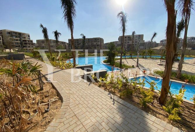 53725912 - Property Image 3