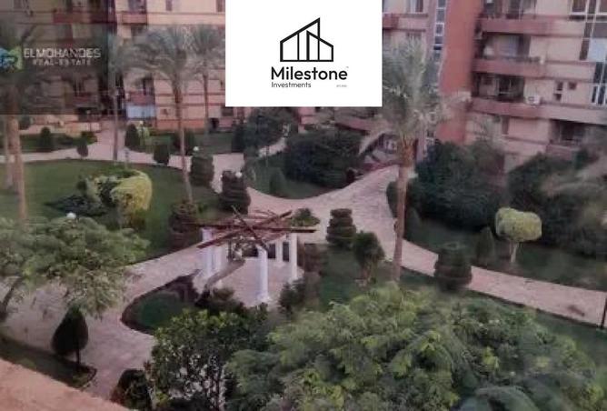 53980990 - صورة العقار 2