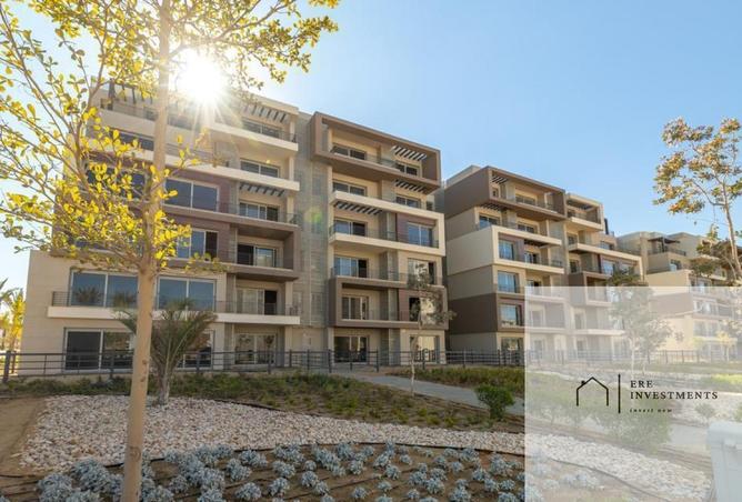 81575975 - Property Image 3