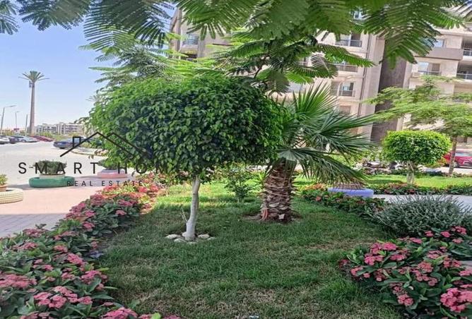 8563825 - Property Image 3