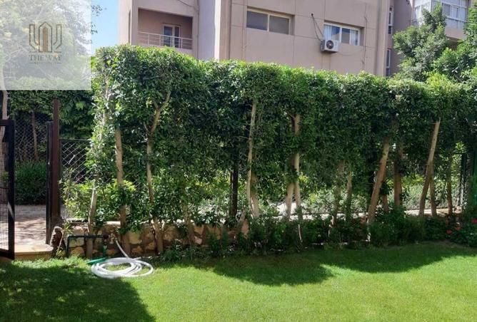 74596154 - صورة العقار 2