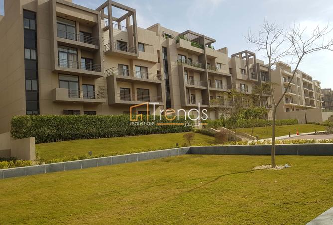 90164771 - Property Image 3