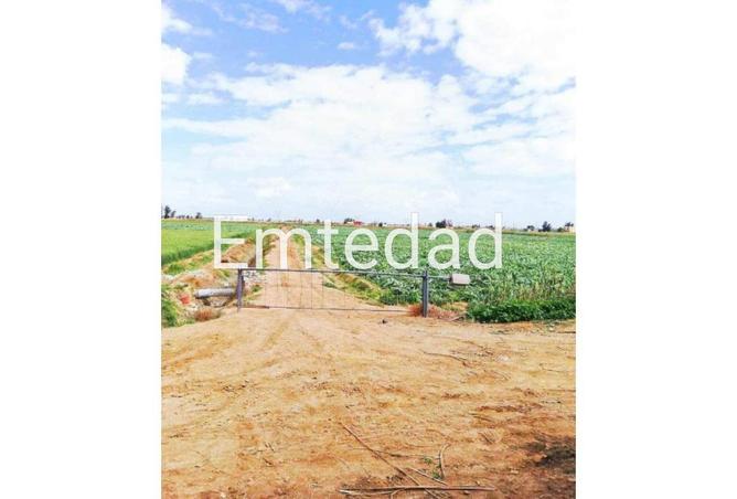 57751340 - صورة العقار 2