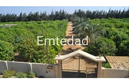 قطعة أرض - استوديو للبيع في طريق الفيوم الصحراوى - مدينة 6 أكتوبر - الجيزة