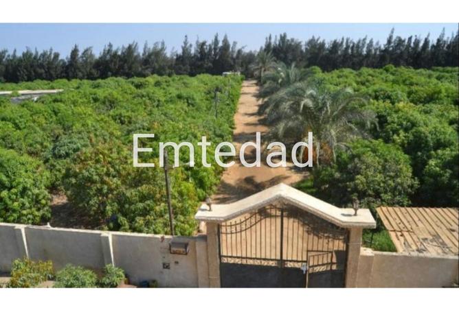 57751340 - الصورة الرئيسية للعقار