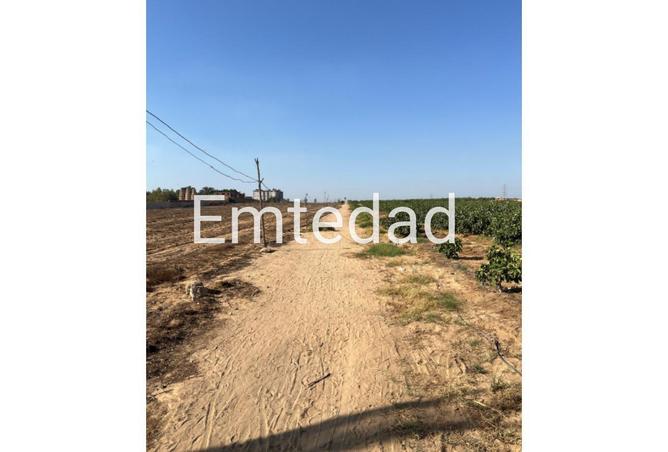 57751340 - صورة العقار 3