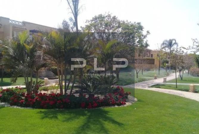 93528307 - Property Image 3