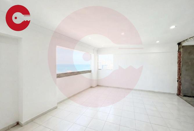 92137879 - Property Image 3