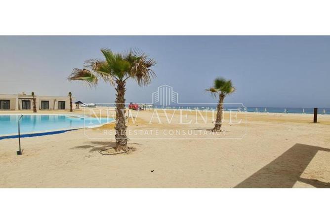 97716824 - صورة العقار 2