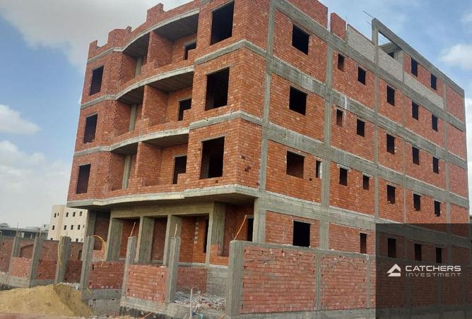 66702759 - Property Image 3