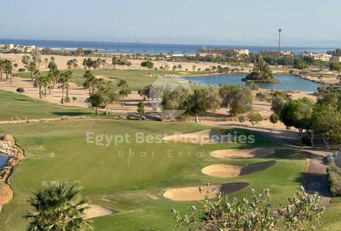 8592517 - صورة العقار 3