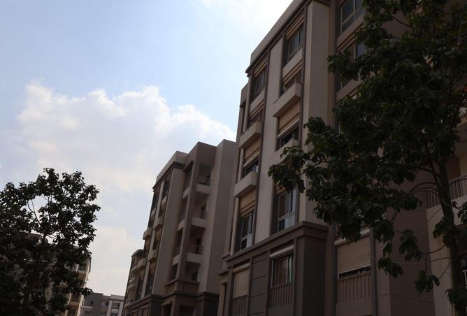 79724044 - صورة العقار 3