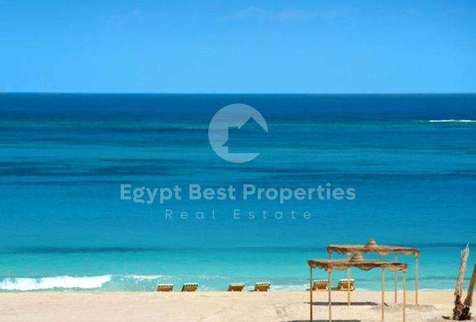 103763558 - صورة العقار 3