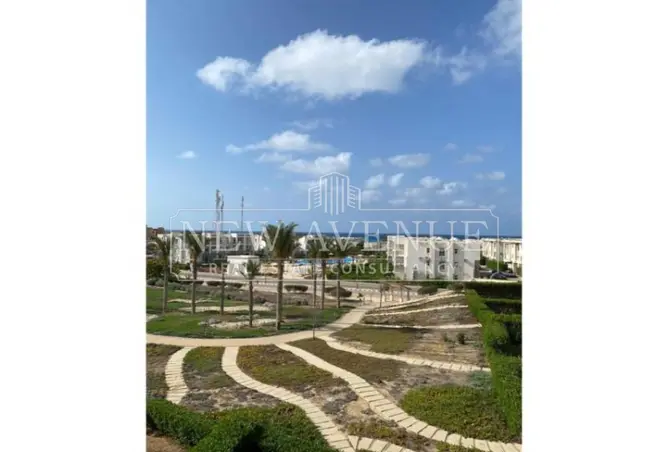 119338233 - Property Image 3