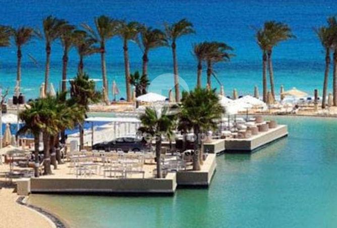 77334734 - صورة العقار 3