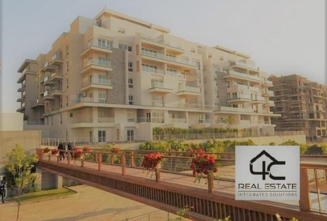 109075672 - Property Image 3