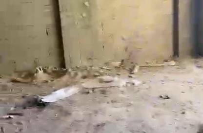 شقة - غرفة نوم - 1 حمام للبيع في باديه بالم هيلز - كمبوندات 6 أكتوبر - مدينة 6 أكتوبر - الجيزة