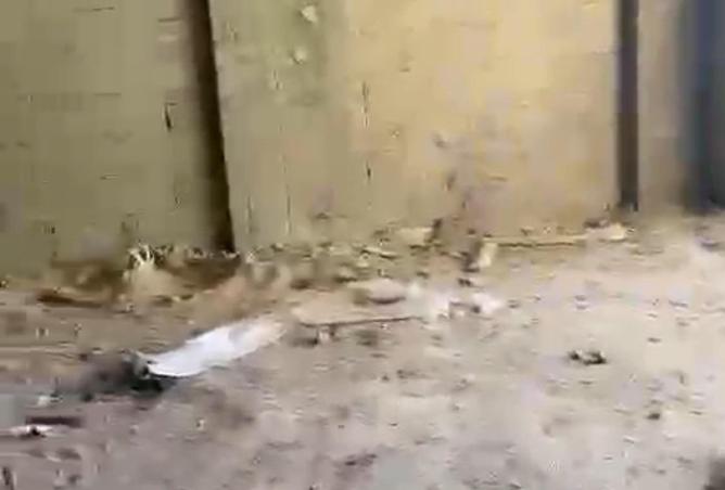 86139610 - صورة العقار 3