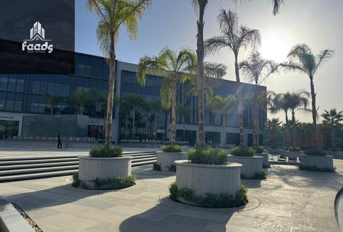 64140884 - Property Image 2