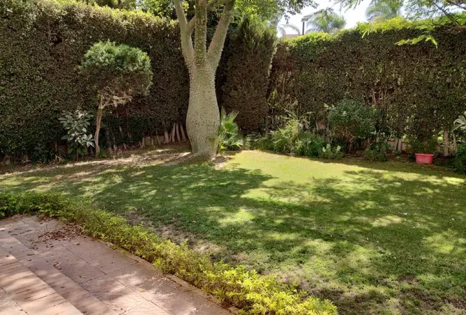 78663049 - صورة العقار 3