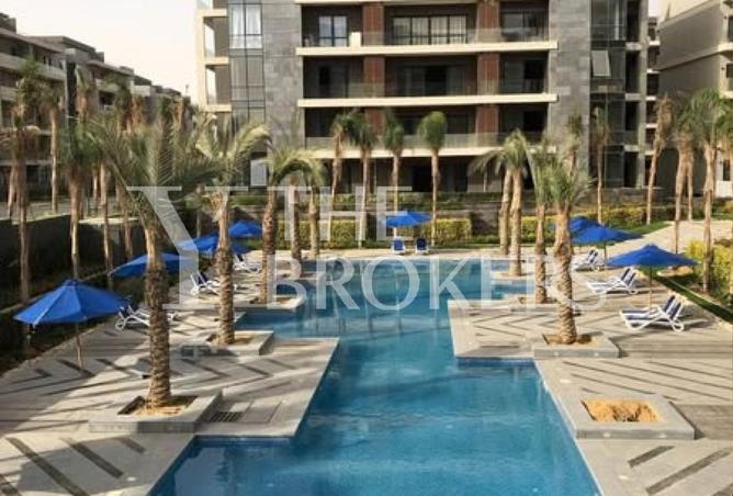 52460240 - Property Image 3