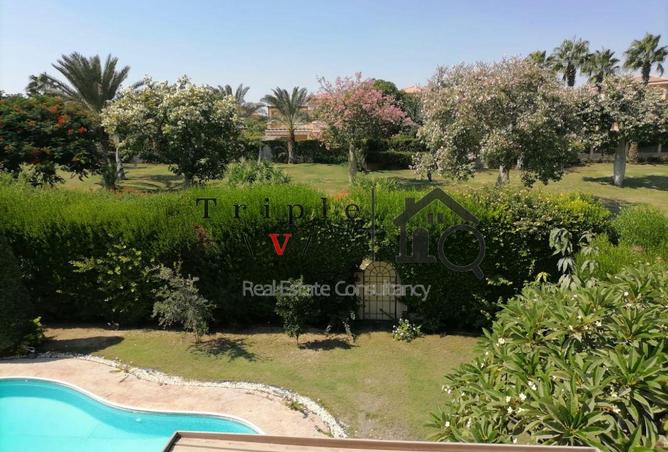 58983802 - صورة العقار 2