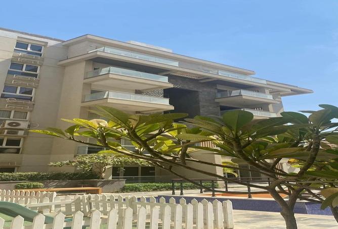 54239119 - Property Image 3