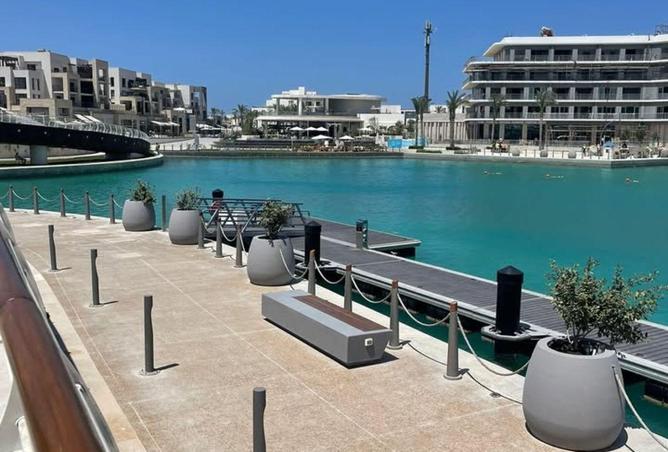 56744970 - صورة العقار 3