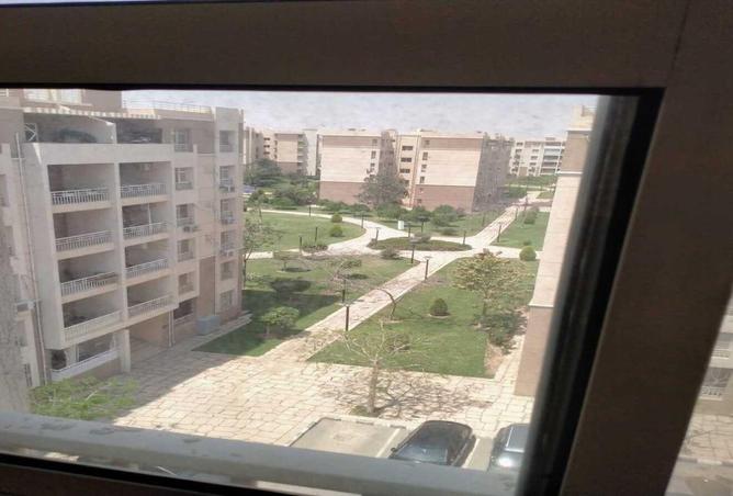 74041662 - صورة العقار 3