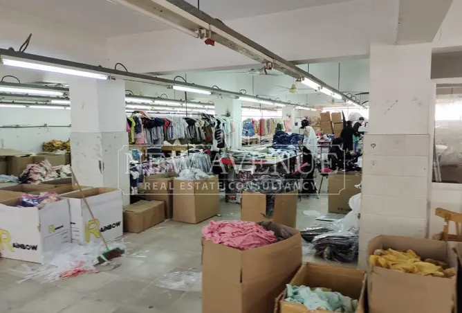 120877884 - Property Image 3