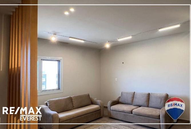 66423099 - Property Image 3