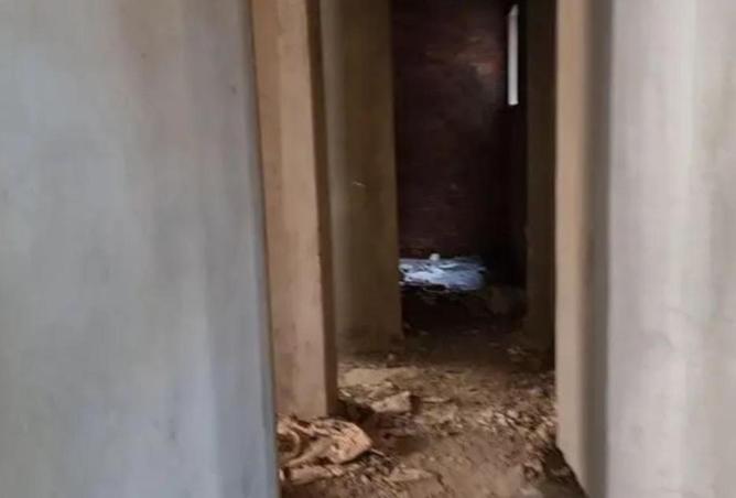 58736961 - Property Image 3