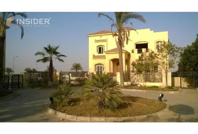 8675083 - صورة العقار 3