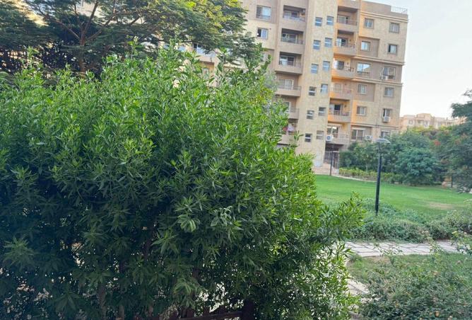 71138746 - صورة العقار 2