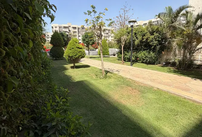 117535414 - صورة العقار 2