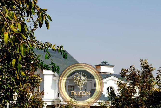 75681467 - صورة العقار 2