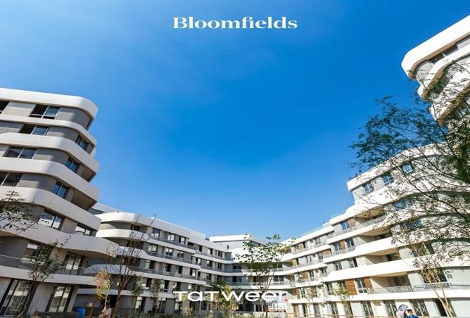 8409921 - Property Image 3