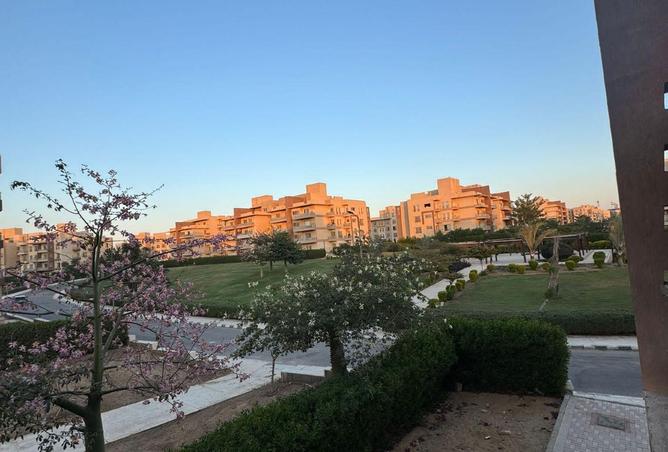 61691749 - Property Main Image